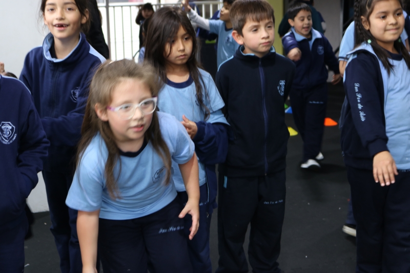 Día de la Actividad Física